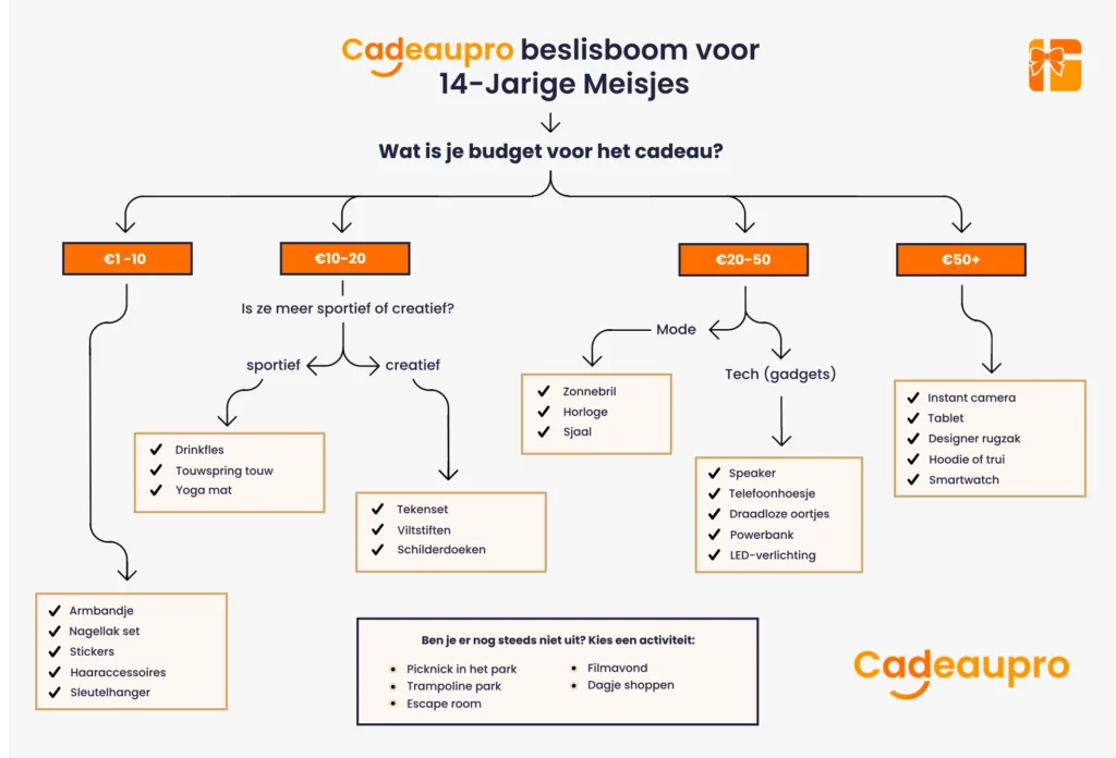 cadeau beslisboom waarbij je een cadeautje kan vinden voor meisjes van 14 jaar