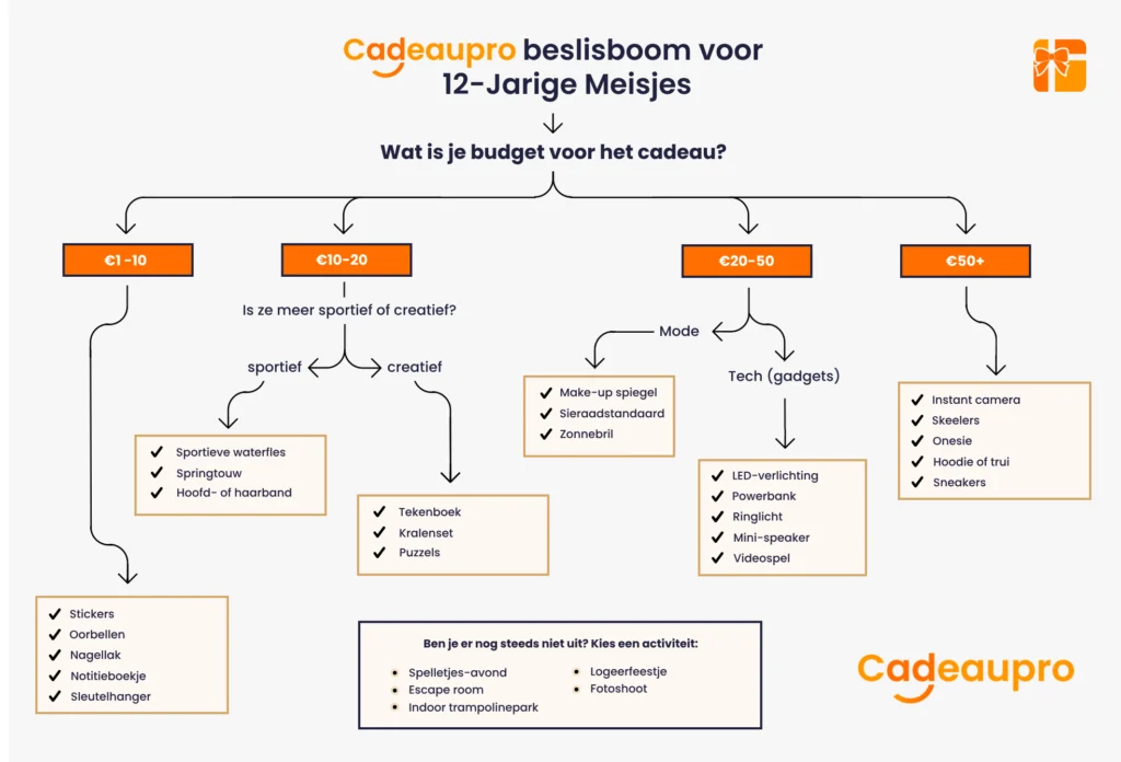 beslisboom voor het kiezen van een cadeau voor 12 jarige meisjes