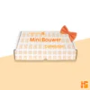 Cadeaupro Mini Bouwer Cadeaubox Verpakking